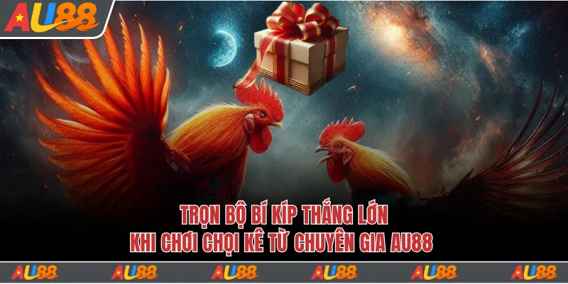 Bí kíp chọi kê thắng to từ các chuyên gia