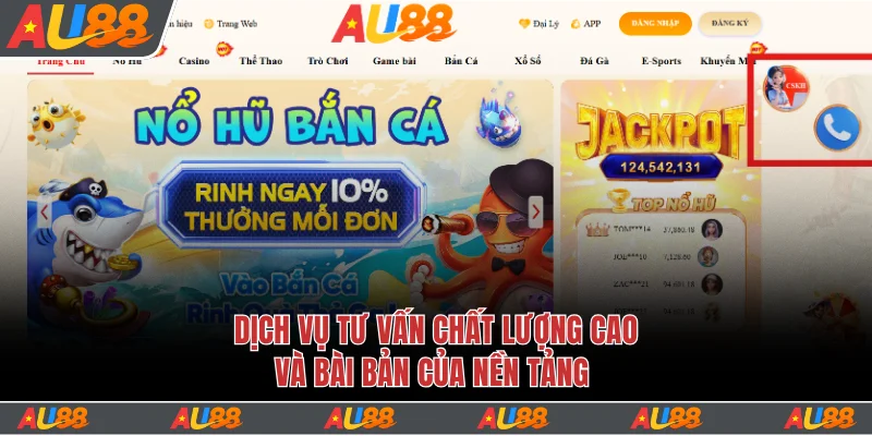 Dịch vụ tư vấn chất lượng cao và bài bản của nền tảng