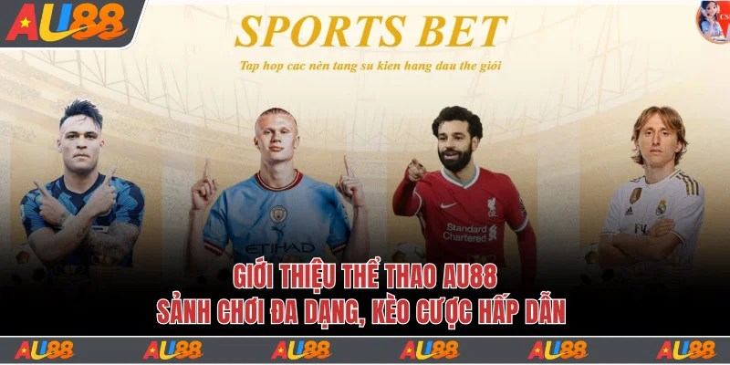 Đôi nét về chuyên mục thể thao Au88
