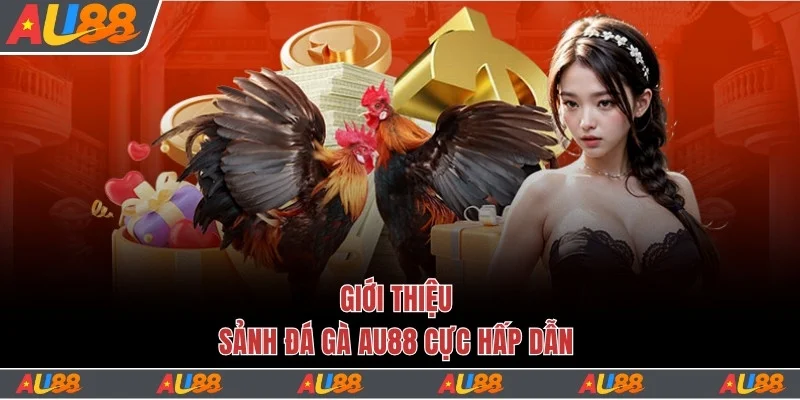 Giới thiệu sảnh đá gà Au88 cực hấp dẫn