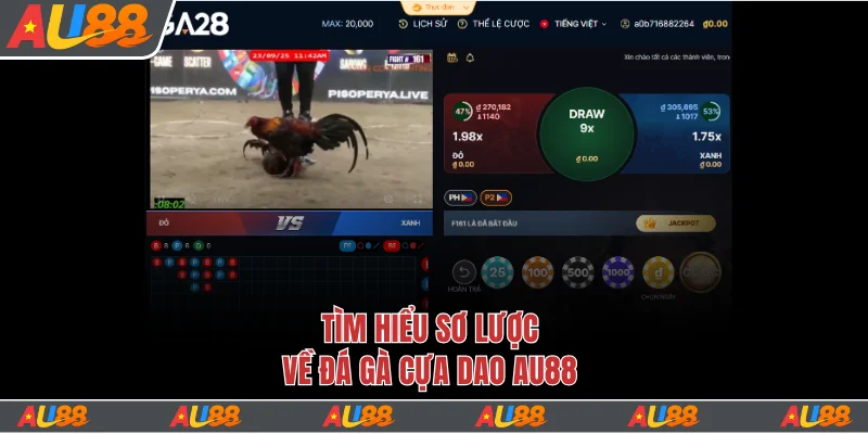 Đá Gà Cựa Dao Tại Au88 Đặt Cược Dễ Dàng, Thưởng Lớn 4 Tìm hiểu về kê trước khi quyết định cược